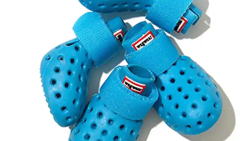 A pile of blue dog crocs