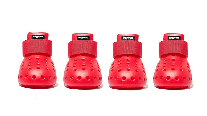 Best Dog Booties For Summer