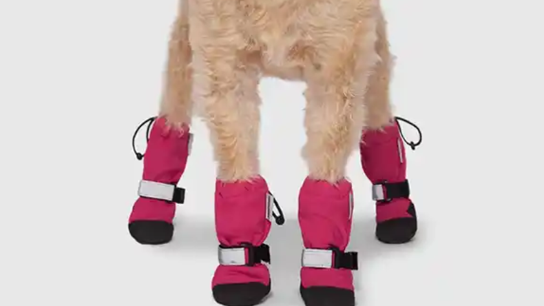 A close up of a dogs feet while wearing pink dog booties with reflective strips.