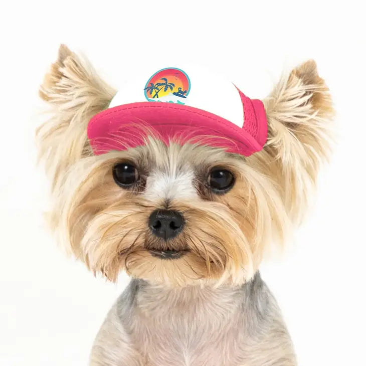 yorkie with pink trucker hat