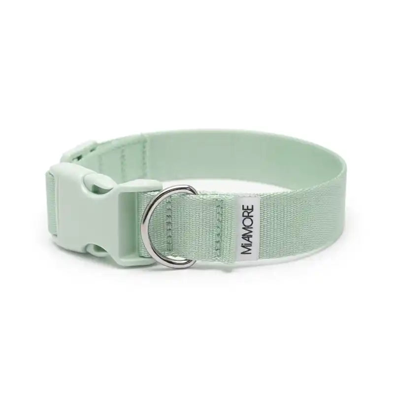 Amore Dog Collar in Mint Green upright