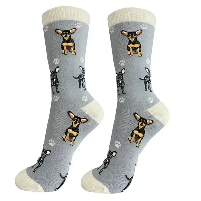 Socks with Chihuahuas
