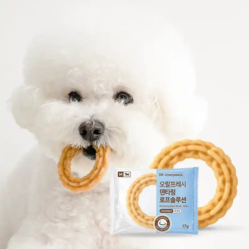 White fluffy dog holding a Dentaring Rope Brush Coconut dental chew ring in its mouth