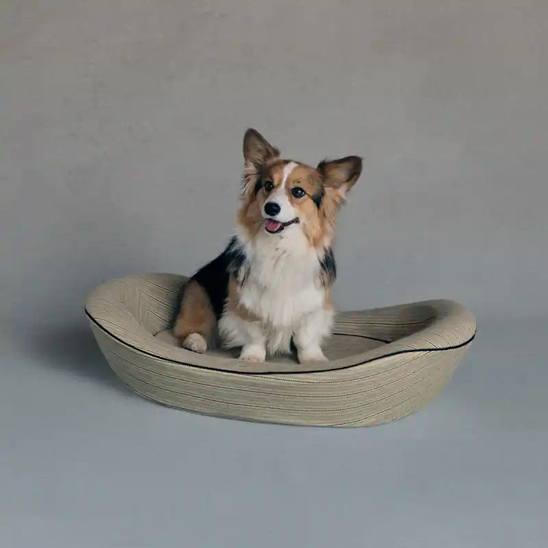 Corgi sitting in a grey pencil striped pet bed on a grey background