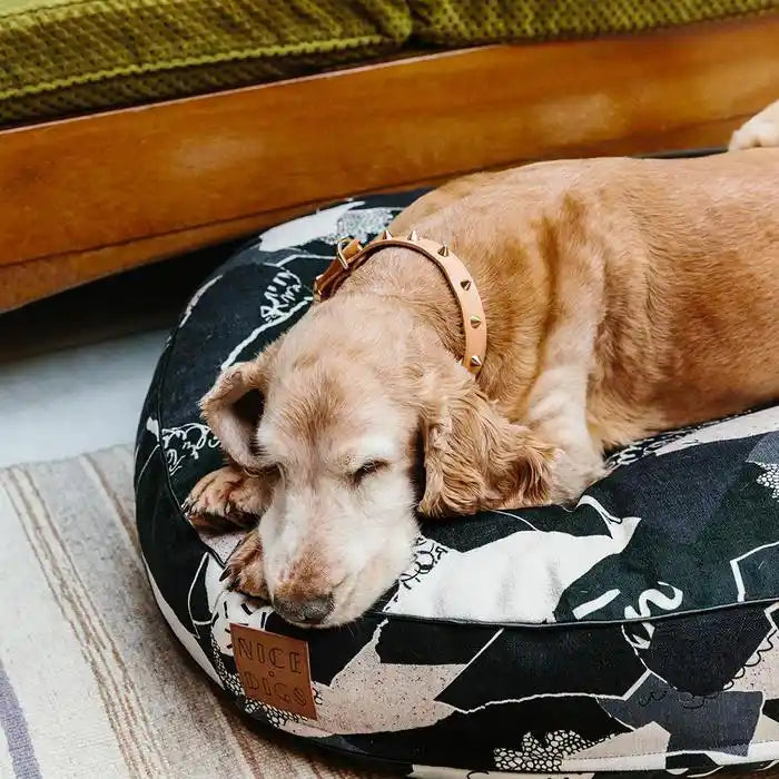 nice digs smooth spike leather dog collar - gold tan styled