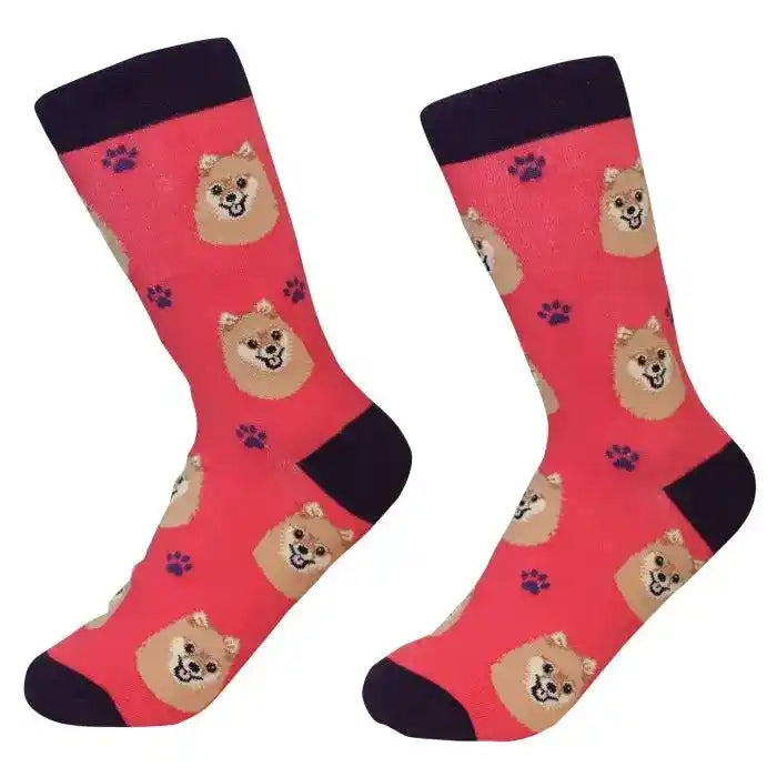 Socks with Pomeranian faces