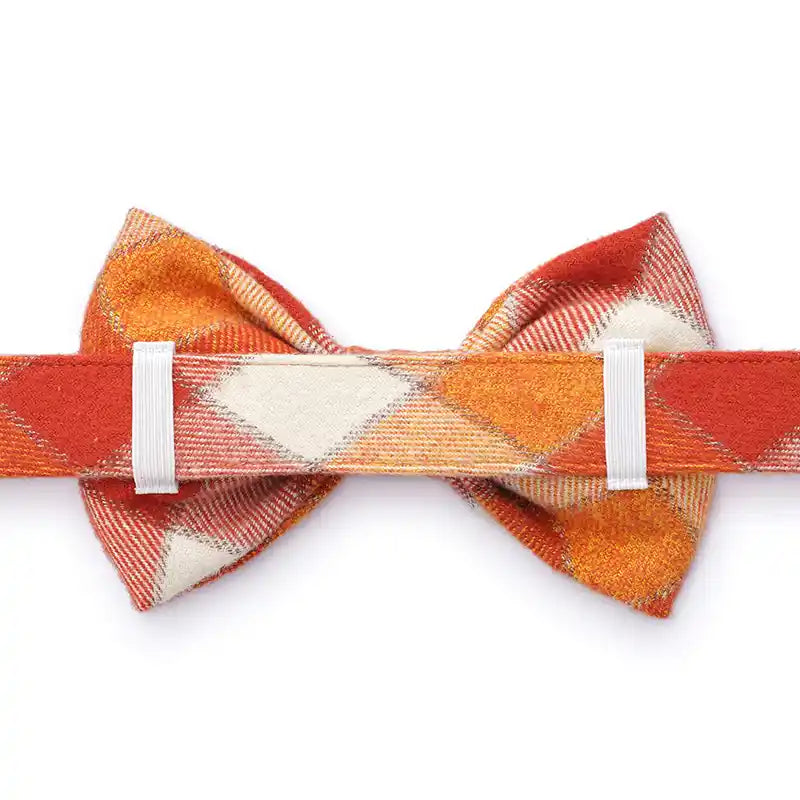 Back view of an orange plaid bowtie attached to a pet collar.