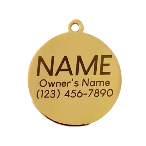 silently judging you cat ID charm tag engraving example