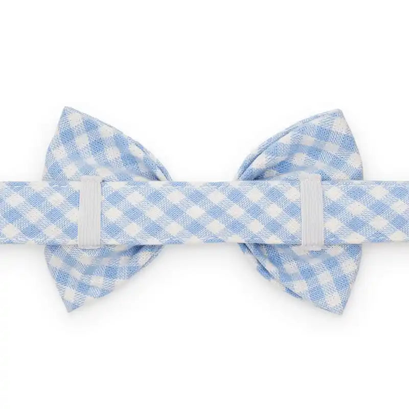 back view of foggy dog sky blue gingham dog bow tie