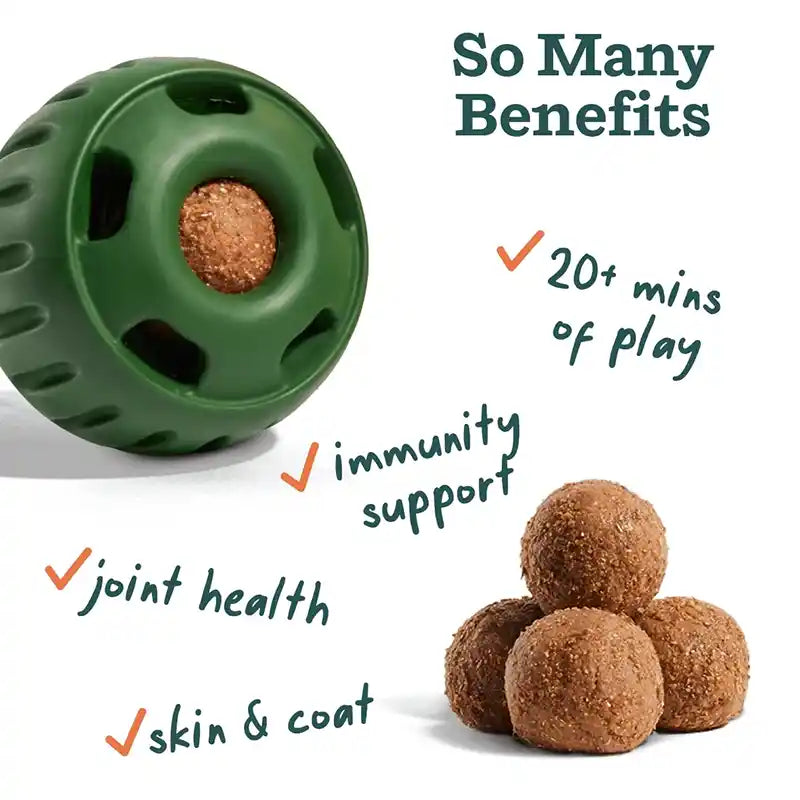 all-in-1 pupsicle benefits