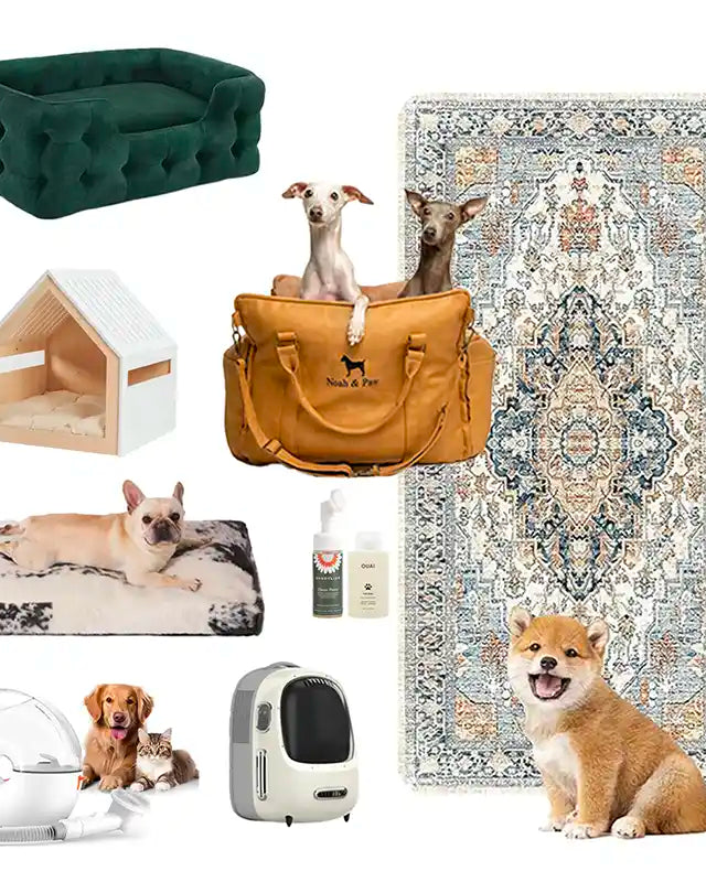 Collage of Curated Amazon Pet Picks by MiAmore Pets
