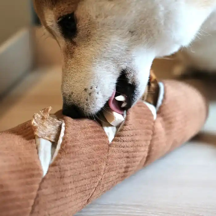 dog eating treats from baguette toy