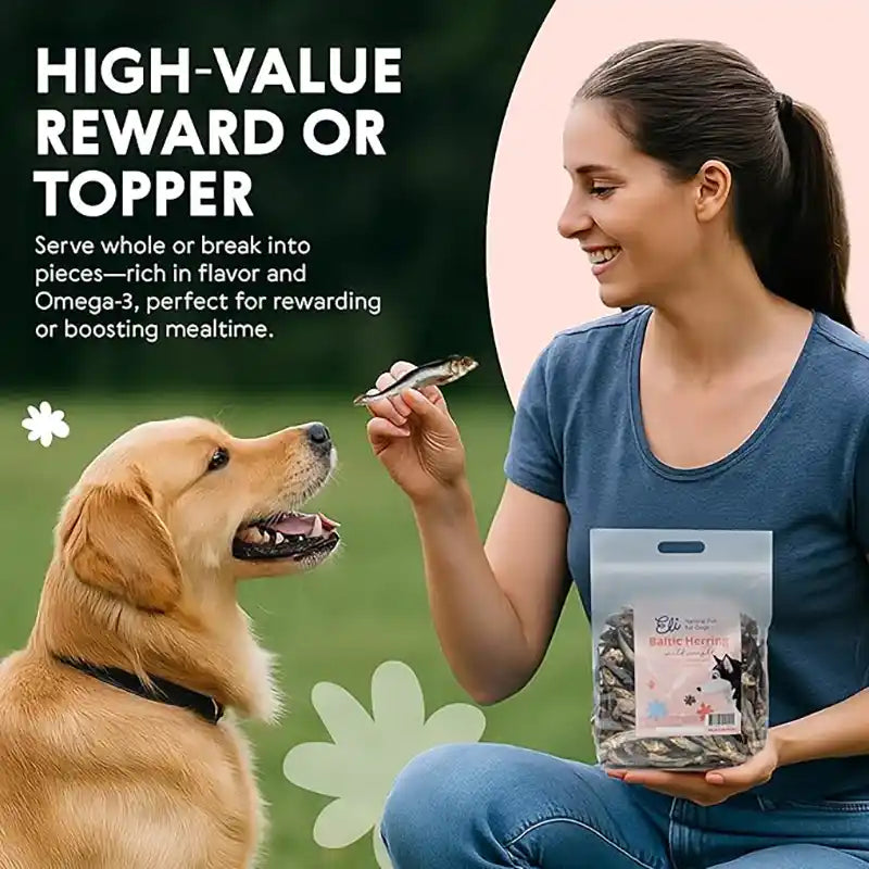 Woman feeding a dog a dried Eli Baltic Herring Treat