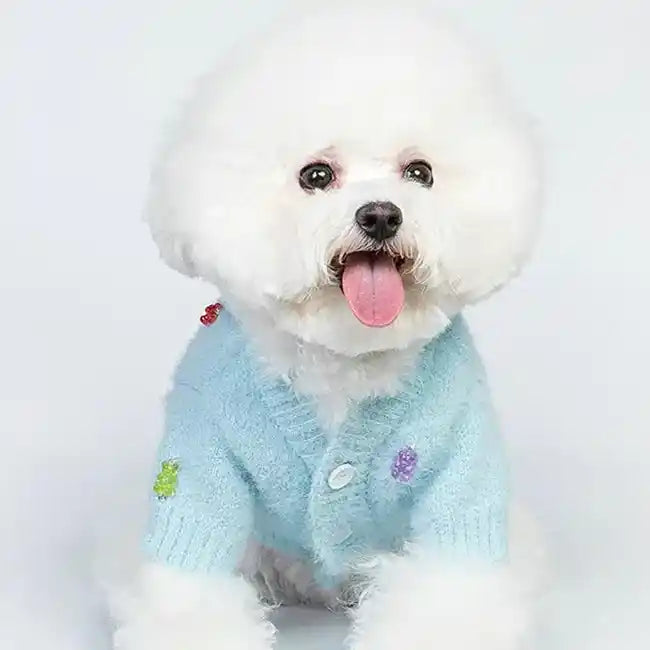 Bichon wearing Gummy Bear Cardigan Dog Sweater