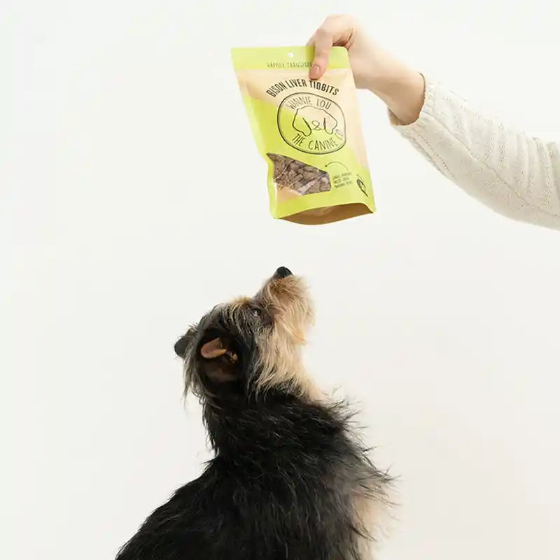 Dog eagerly reaching for a bag of liver tidbits held by a person against a white background