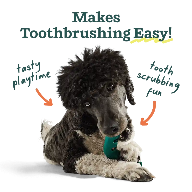 Dog with a green toothbrushing toy, text indicating benefits of toothbrushing.