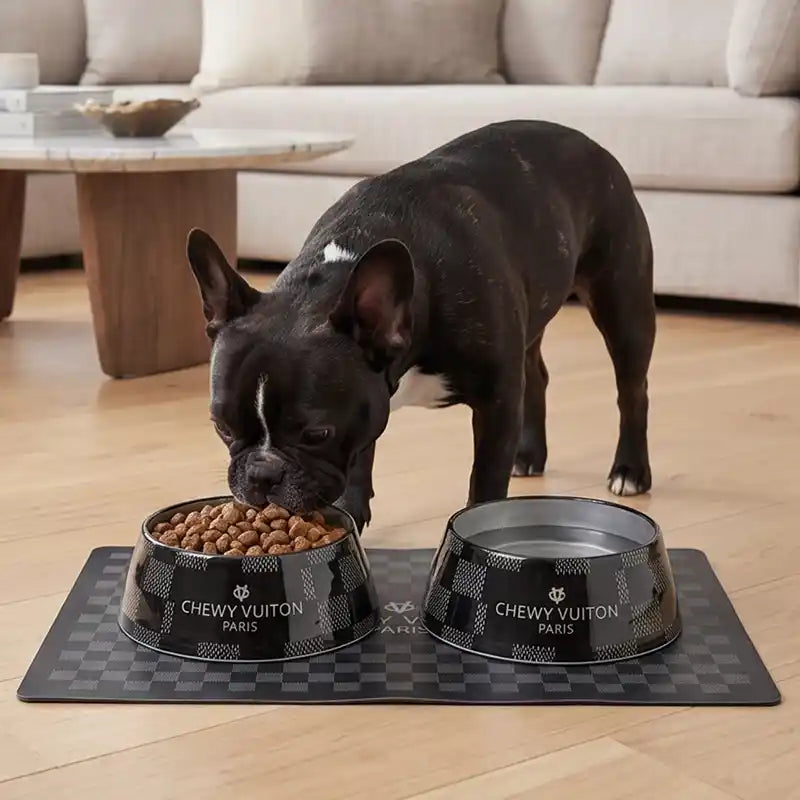 Dog eating from a 'Chevy Vuiton' bowl in a home setting