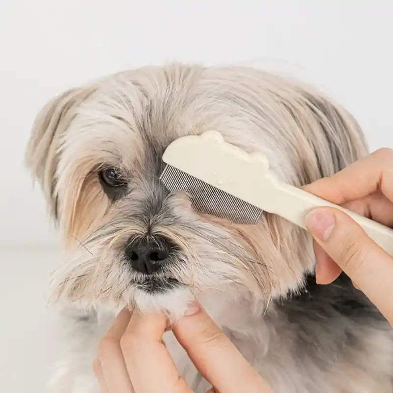Grey and white dog getting combed