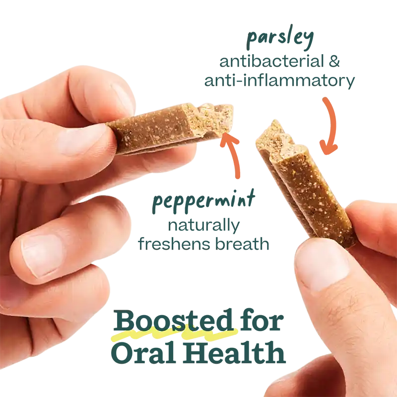 Bite n' Brush Dental Refills info