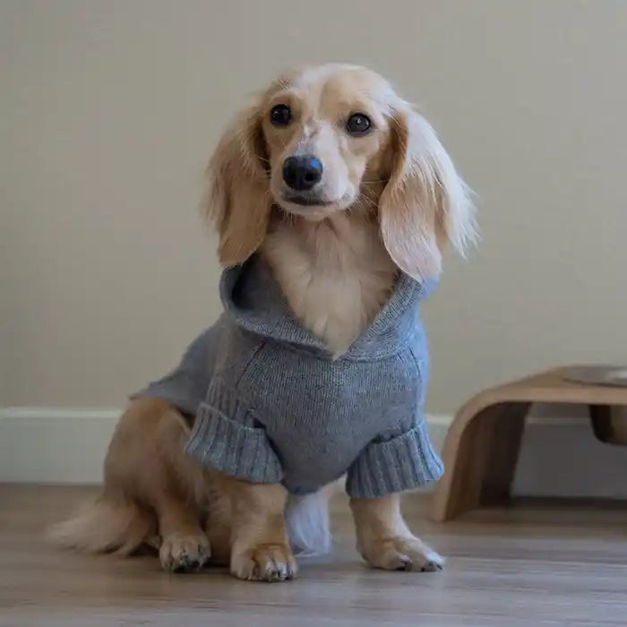 grey cashmere hoodie for dogs