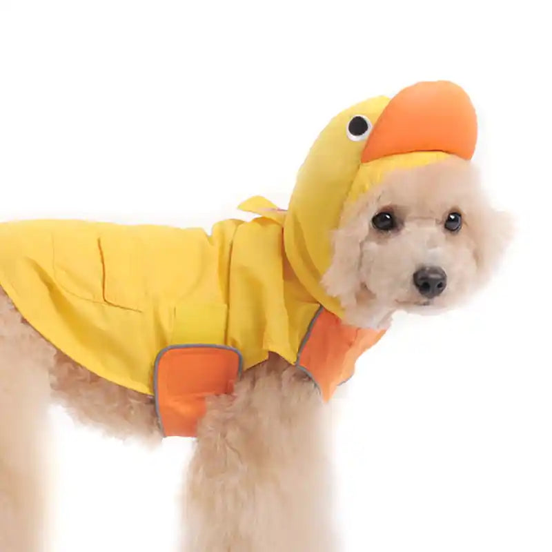 dog wearing duck raincoat