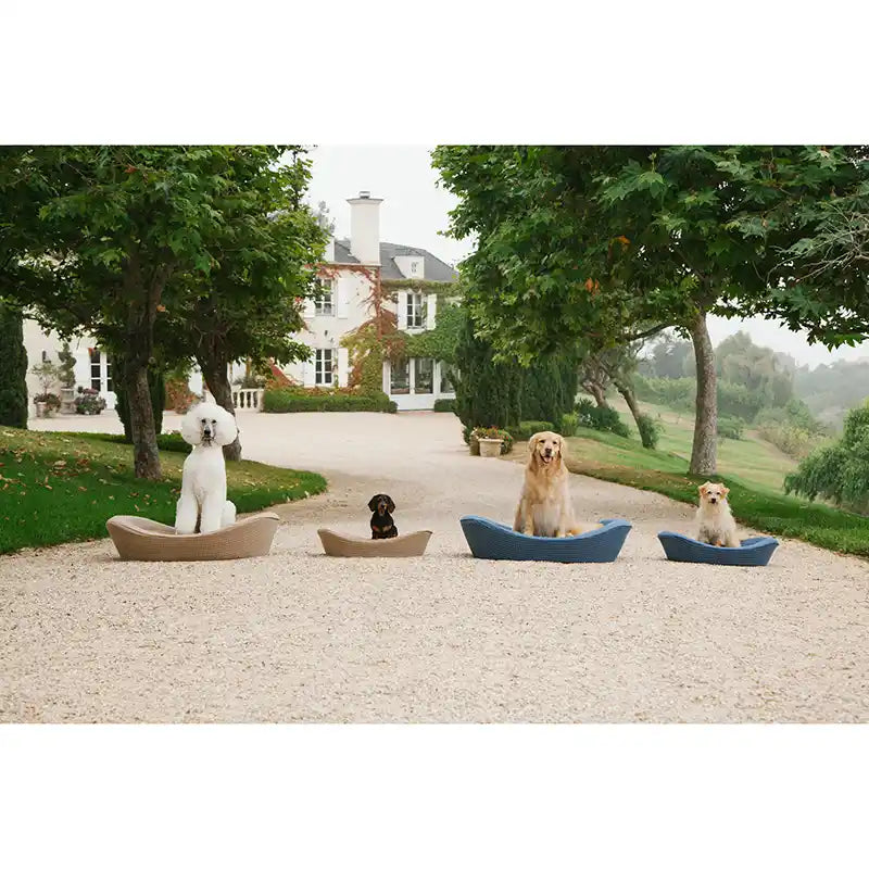 Four dogs sitting on enid blythe beds in a driveway with a large house in the background.