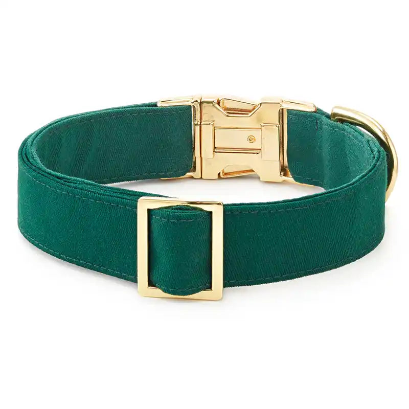 Evergreen foggy dog collar with a gold buckle on a white background