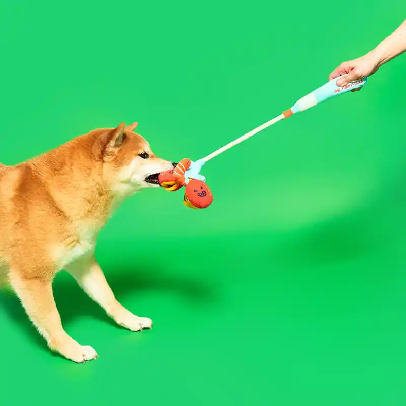 dog pulling on fishing rod