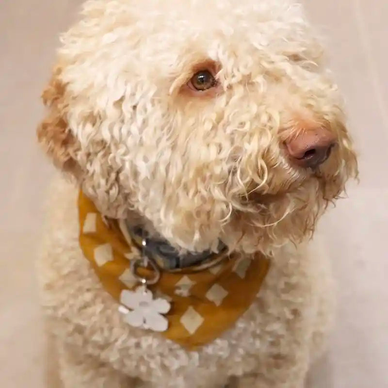 flower id tag styled