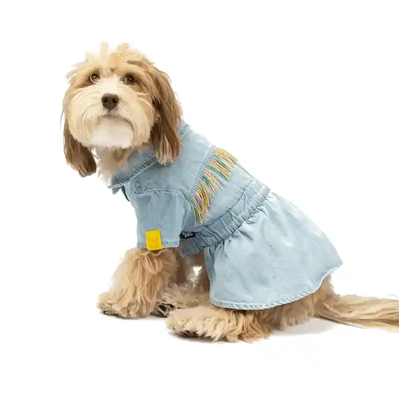 doodle wearing fringe denim dog dress