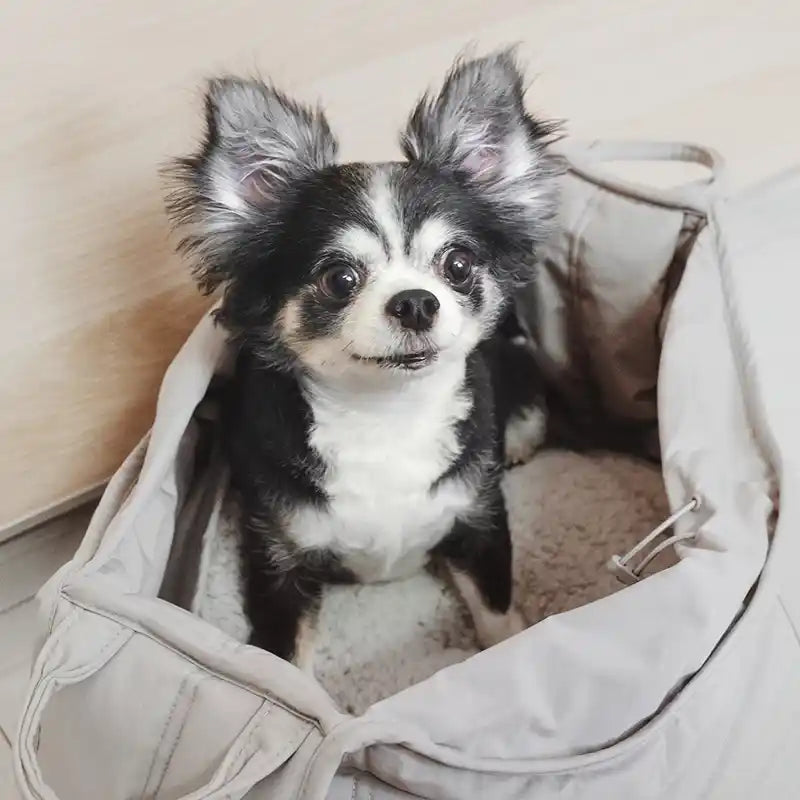 Small black and white dog sitting inside a beige carrier