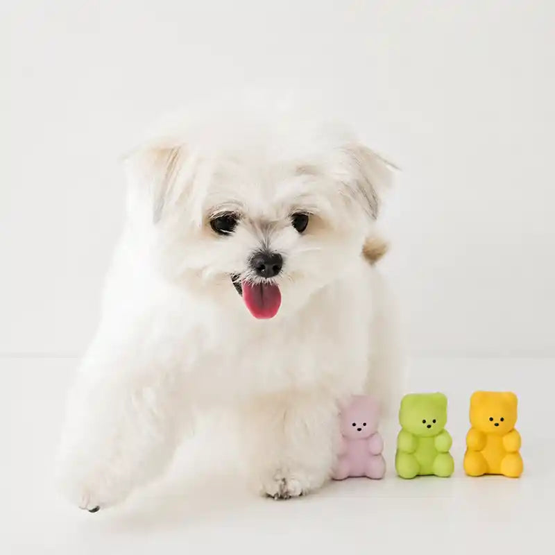 jelly bears squeaky latex dog toys styled with maltese