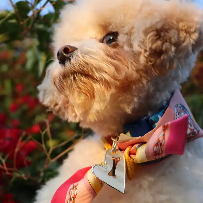 heart and bone whisker link styled