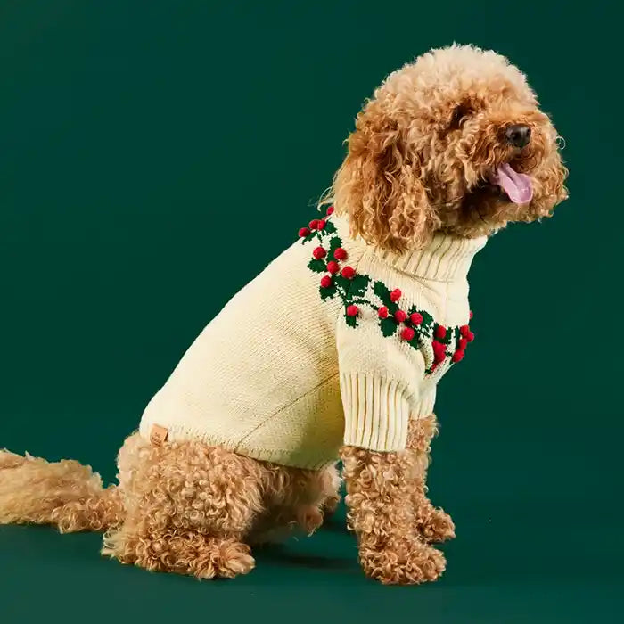 dog modeling holly bobble sweater