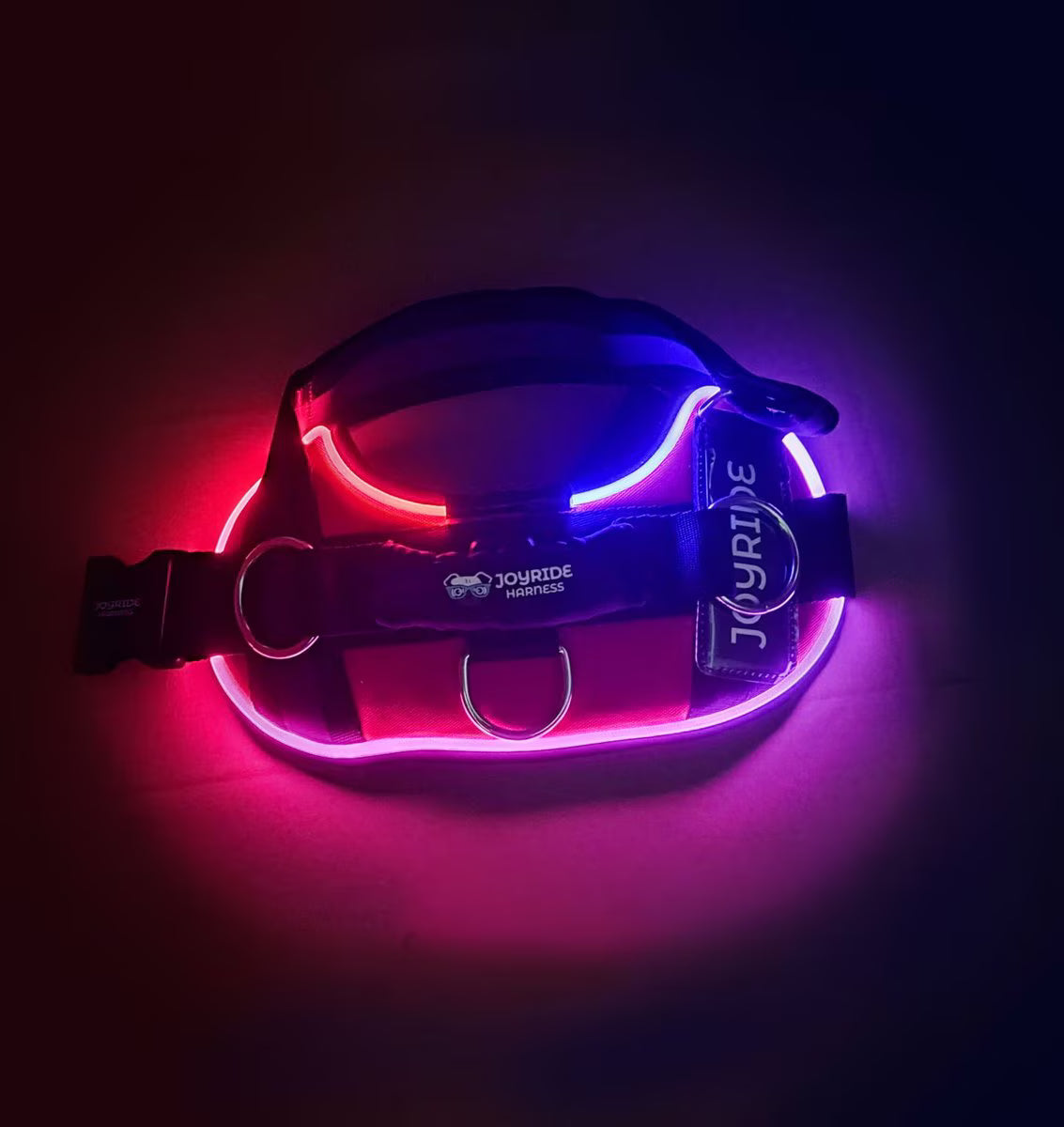 glowing joyride led harness