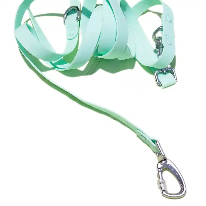 minty green jelly leash