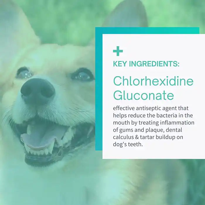 key ingredient of dental wipes