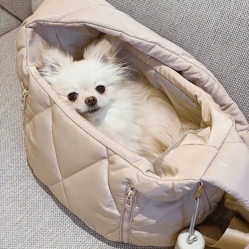 Pomeranian inside Cloud Carrier bag