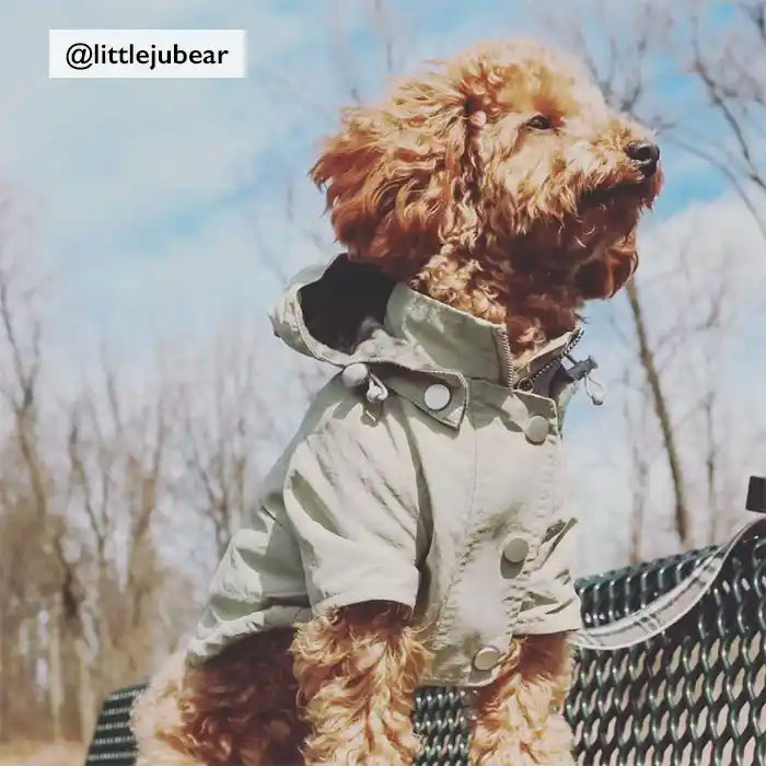 @littlejubear wearing miamore moss green raincoat