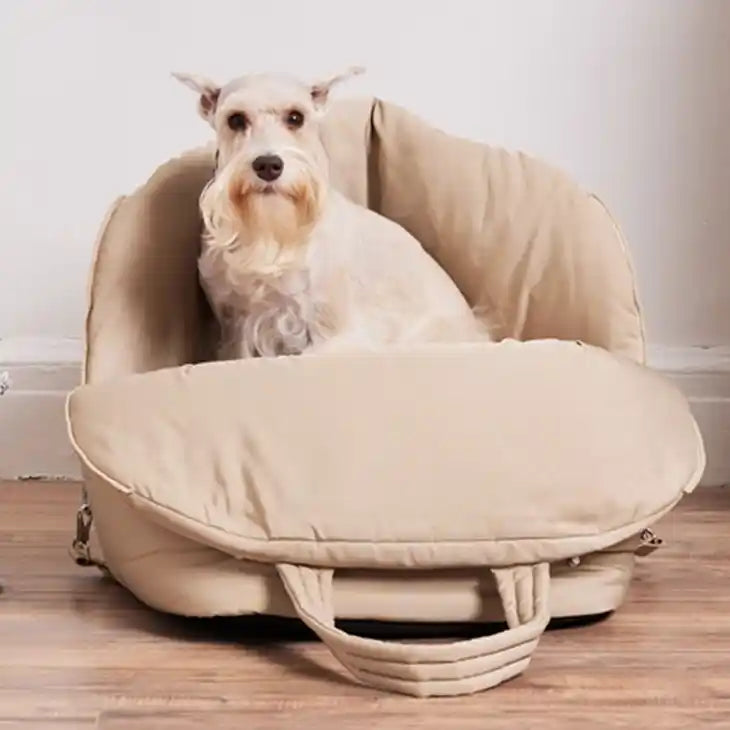 lola pet carrier and car seat with dog