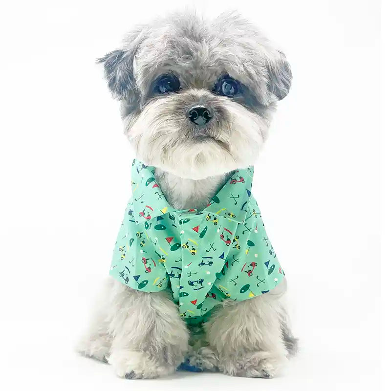 dog wearing worthy dog golf shirt