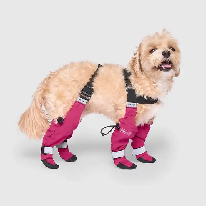 pink suspender boots