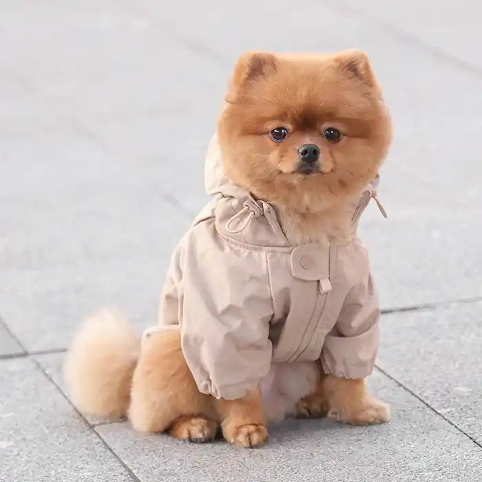pomeranian wearing Beige "Brooklyn" Dog Rain Jacket