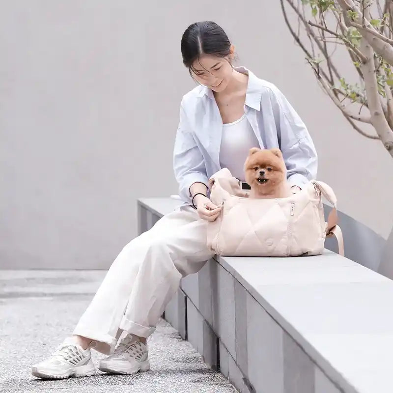 Woman sitting on a bench with cloud carrier next to her and pomeranian in the bag