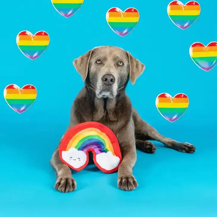 durable rainbow dog toy styled
