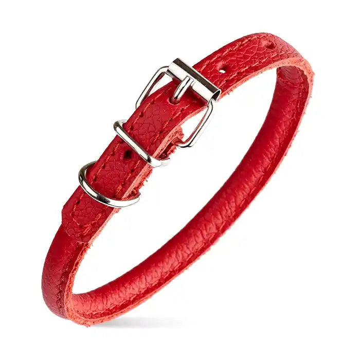 red rolled leather dog collar
