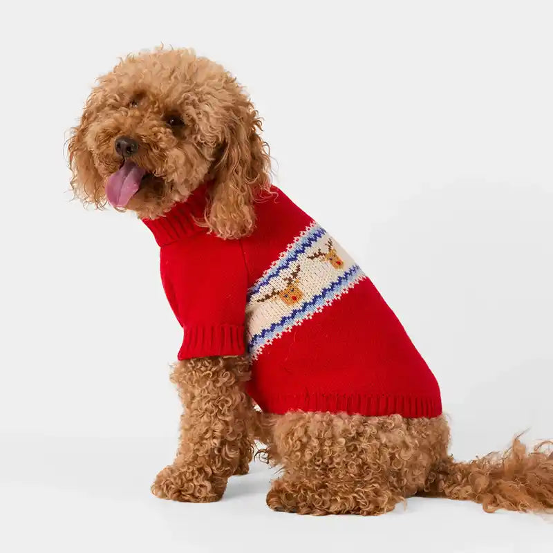Dog wearing a red sweater with a reindeer pattern on a white background