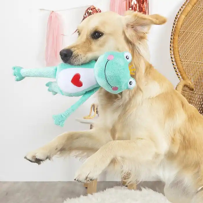 retriever holding prince charming dog toy