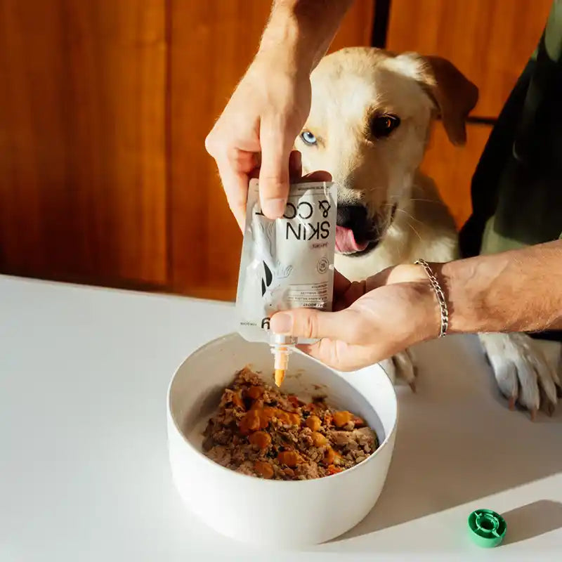 Rigby Skin & Coat Support Supplement being squeezed onto dog food