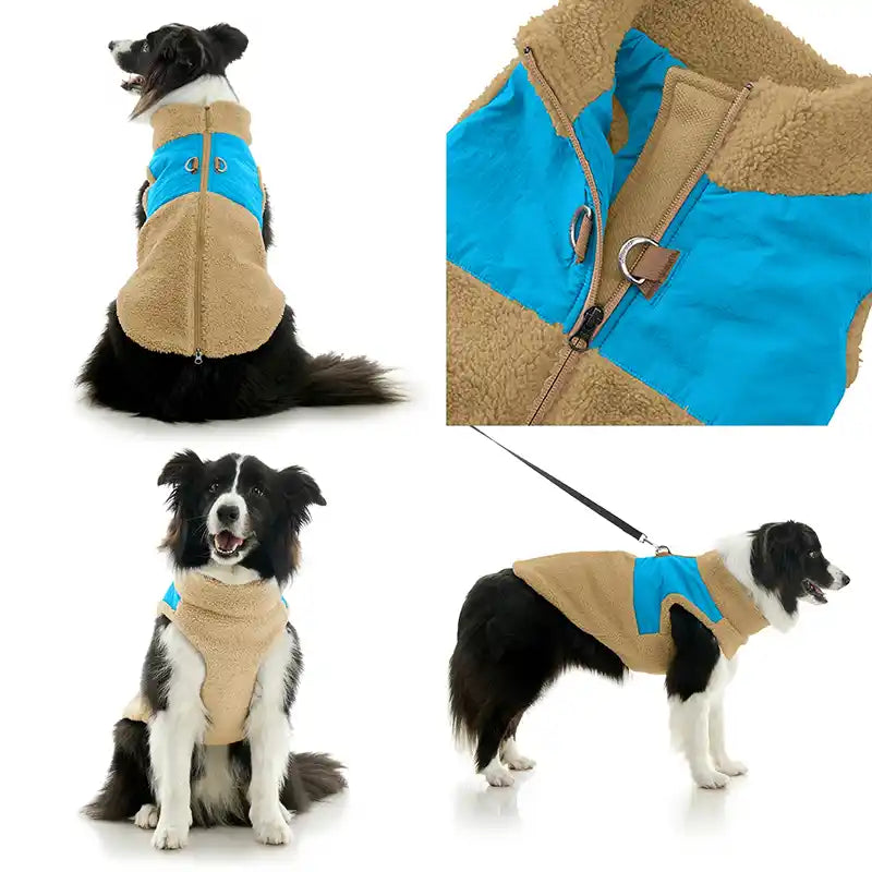 4 tiles showing different views of the Gooby Dog Color Block Harness Vest in Turqouise Blue & Tan